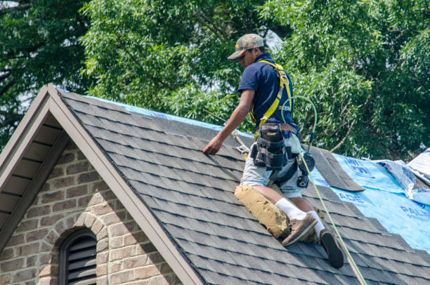 Trusted Strawberry Plains, TN Roofing Contractor Experts